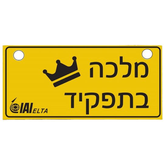 שלט נהגת חדשה בעיצוב אישי שלט נהגת חדשה בעיצוב אישי