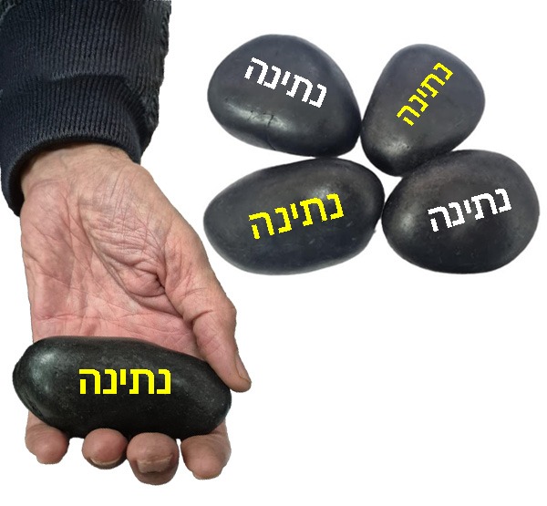 חלוקי נחל שחורים חלוקי נחל שחורים