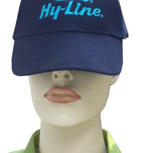 כובעים רקומים