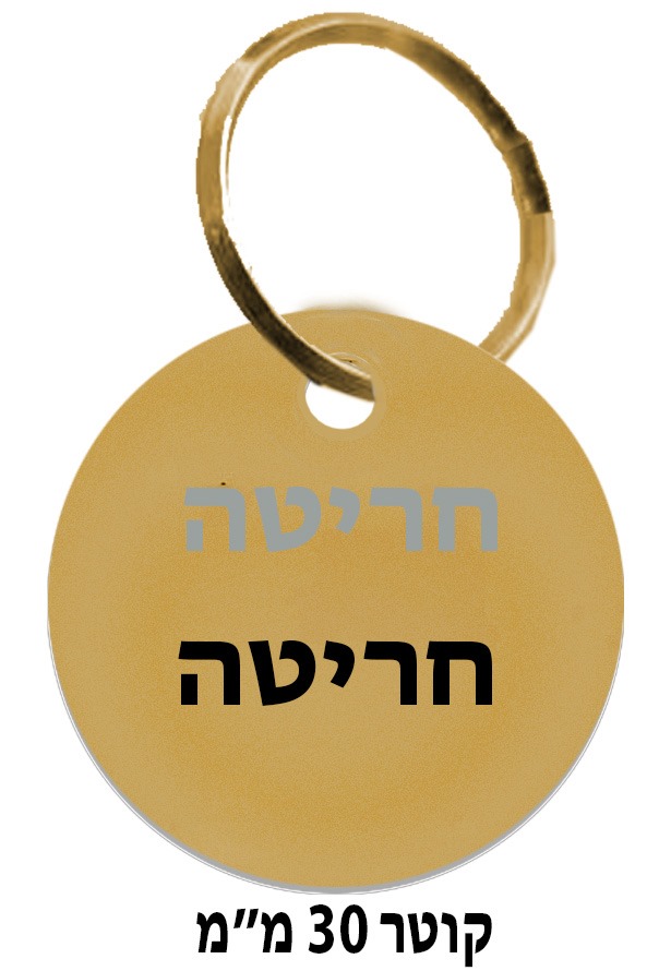 דיסקית זהב – תמונה 8 דיסקית זהב – תמונה 8