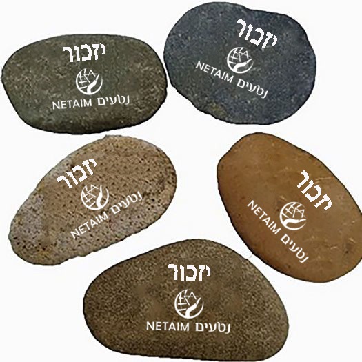 חלוקי נחל לבנים – תמונה 3 חלוקי נחל לבנים – תמונה 3
