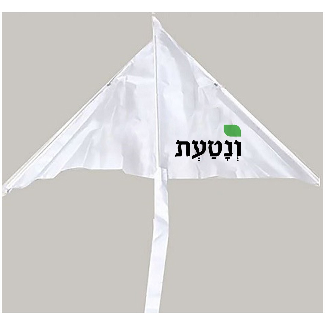 עפיפון – תמונה 6 עפיפון – תמונה 6